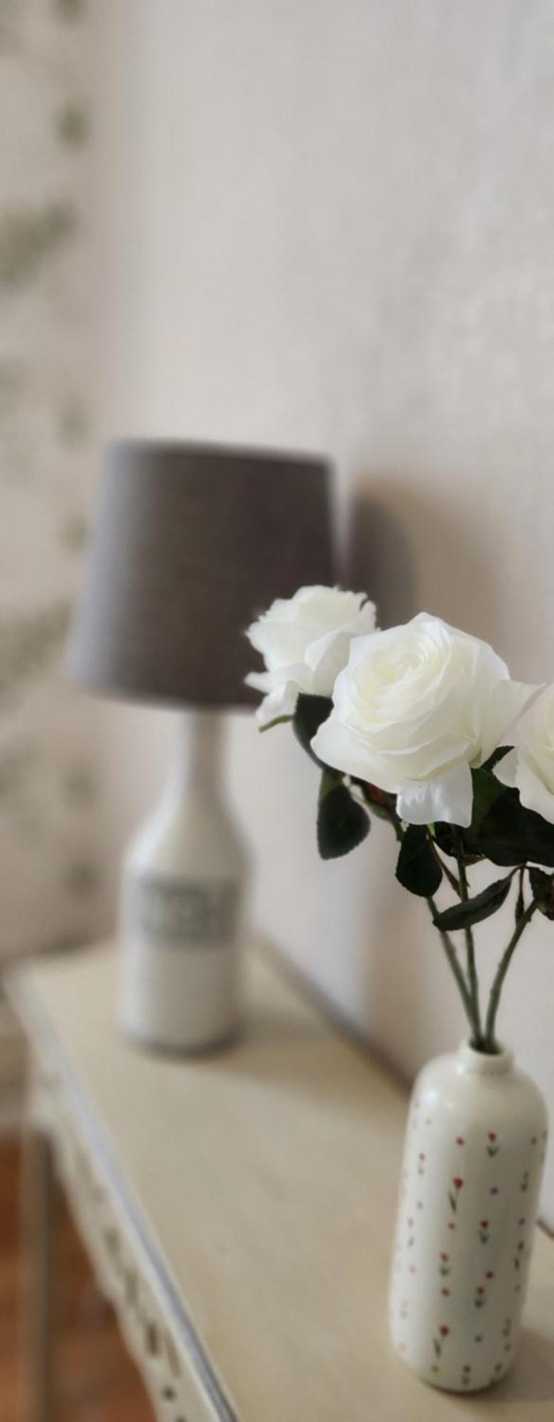 Les Hortensias Blancs Studio أميا المظهر الخارجي الصورة